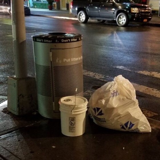 Two Cats Abandoned In Sealed Buckets In New York