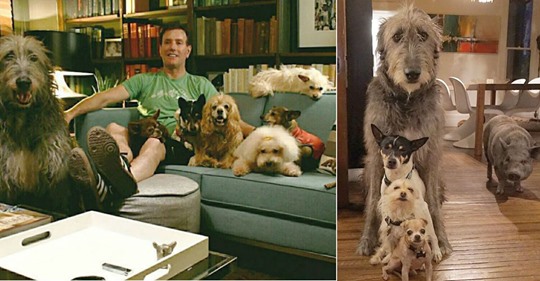 Man Adopts All Senior Animals After His Dog Dies