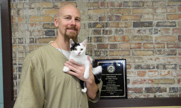 Prison In Indiana Starts Accepting Shelter Cats