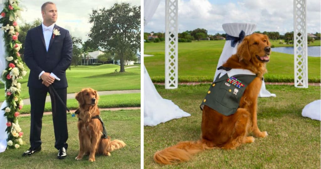 Wounded Veteran’s Service Dog Becomes His Best Man At His Wedding