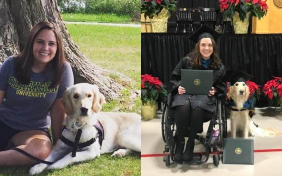 Service Dog Receives Honorary Diploma After Getting His Owner Through Grad School