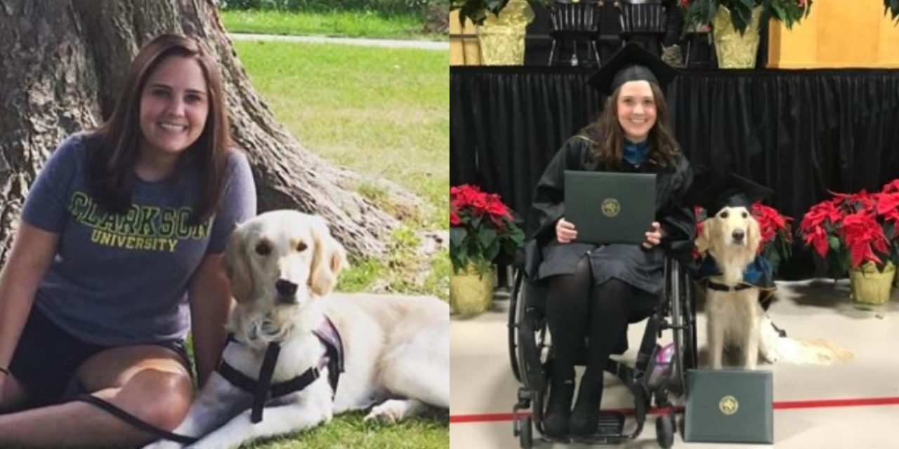 Service Dog Receives Honorary Diploma After Getting His Owner Through Grad School