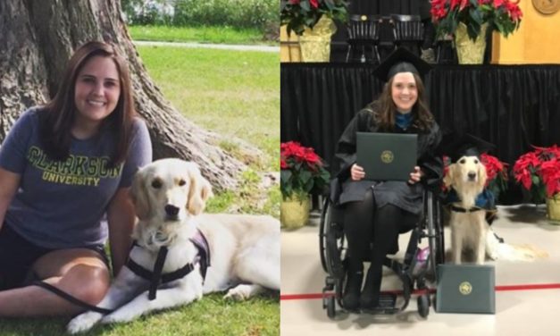 Service Dog Receives Honorary Diploma After Getting His Owner Through Grad School