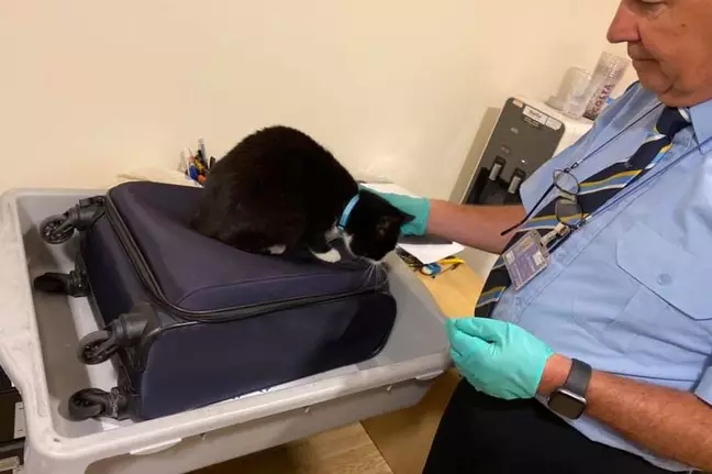 Couple Held At Airport Security After Accidentally Packing Their Cat