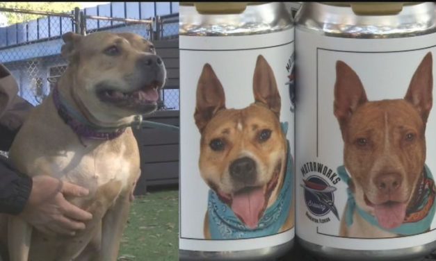 ‘Oh my gosh! That’s my dog!’: Owner Finds Missing Dog Via Photo On Beer Can