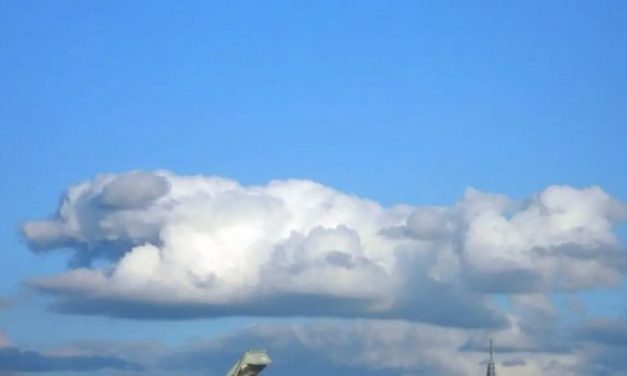 All Dogs Go To Heaven, And This Photo Proves It