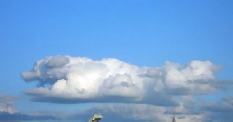 All Dogs Go To Heaven, And This Photo Proves It