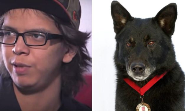 Heroic Dog Saves His Teen Owner After Terrible Car Crash, Protects Him From Coyotes For 2 Days
