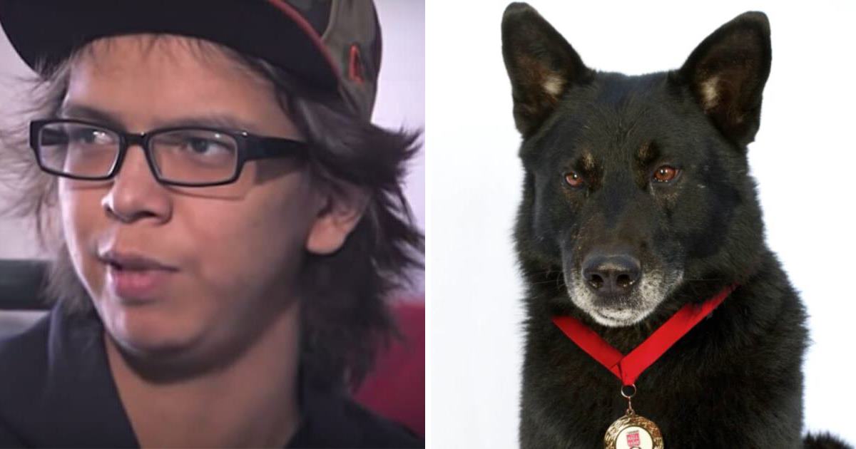 Heroic Dog Saves His Teen Owner After Terrible Car Crash, Protects Him From Coyotes For 2 Days