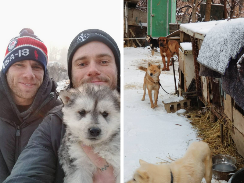 Olympic Skiers Put An End To A South Korean Dog Meat Farm
