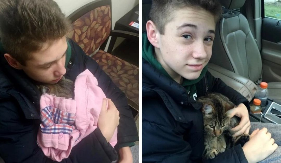 14-Year Old Boy Saves Cat Hanging Over Bridge After Being Tossed Of A Moving Car