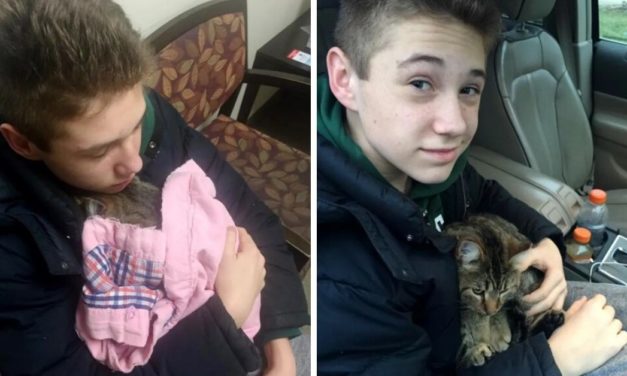14-Year Old Boy Saves Cat Hanging Over Bridge After Being Tossed Of A Moving Car