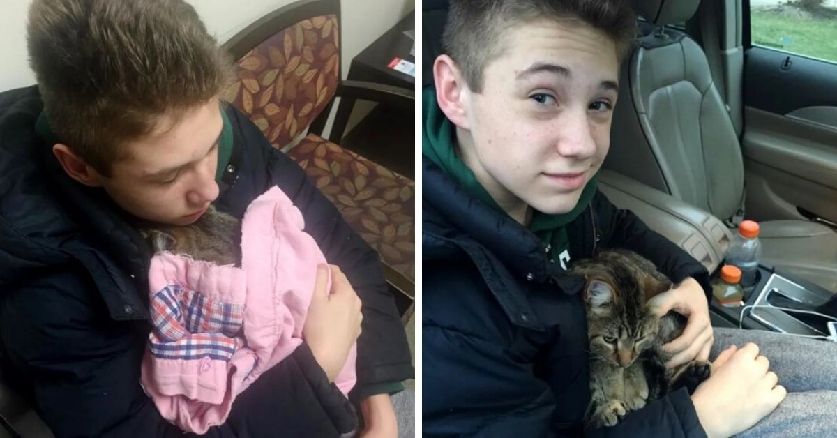 14-Year Old Boy Saves Cat Hanging Over Bridge After Being Tossed Of A Moving Car