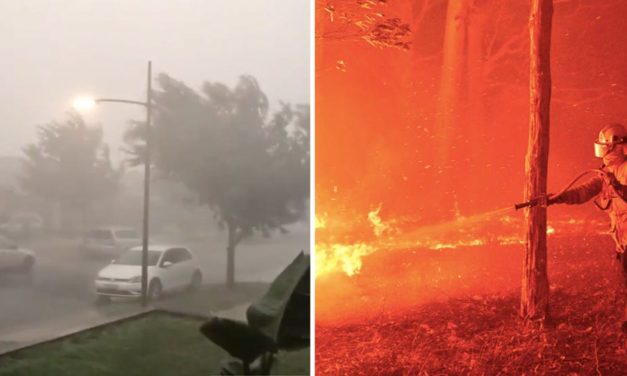 The Rain Finally Pours Down In Australia, Putting an End On Over 30 Deadly Bushfires