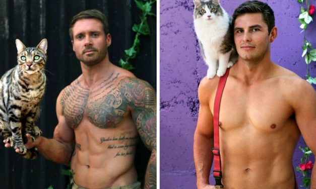 Firefighters In Australia Pose Shirtless With Cats To Raise Money For Charity In Annual Calendar