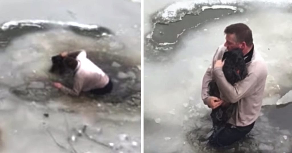 A Man Becomes a Hero After Saving a Dog From Freezing in Icy Water
