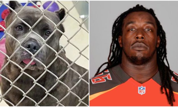 NFL Player Leaves His Dog On Side Of Road Because He Has A Baby On The Way