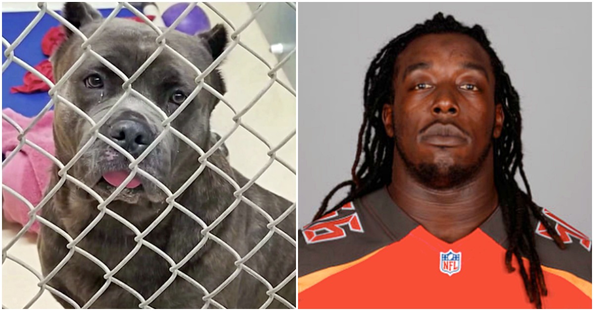 NFL Player Leaves His Dog On Side Of Road Because He Has A Baby On The Way