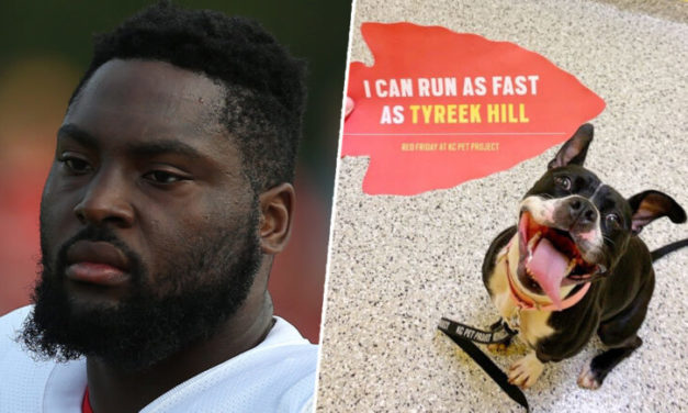 Super Bowl Winner Celebrates By Paying For The Adoptions Of All The Dogs In Shelter