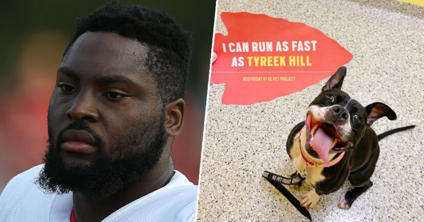 Super Bowl Winner Celebrates By Paying For The Adoptions Of All The Dogs In Shelter