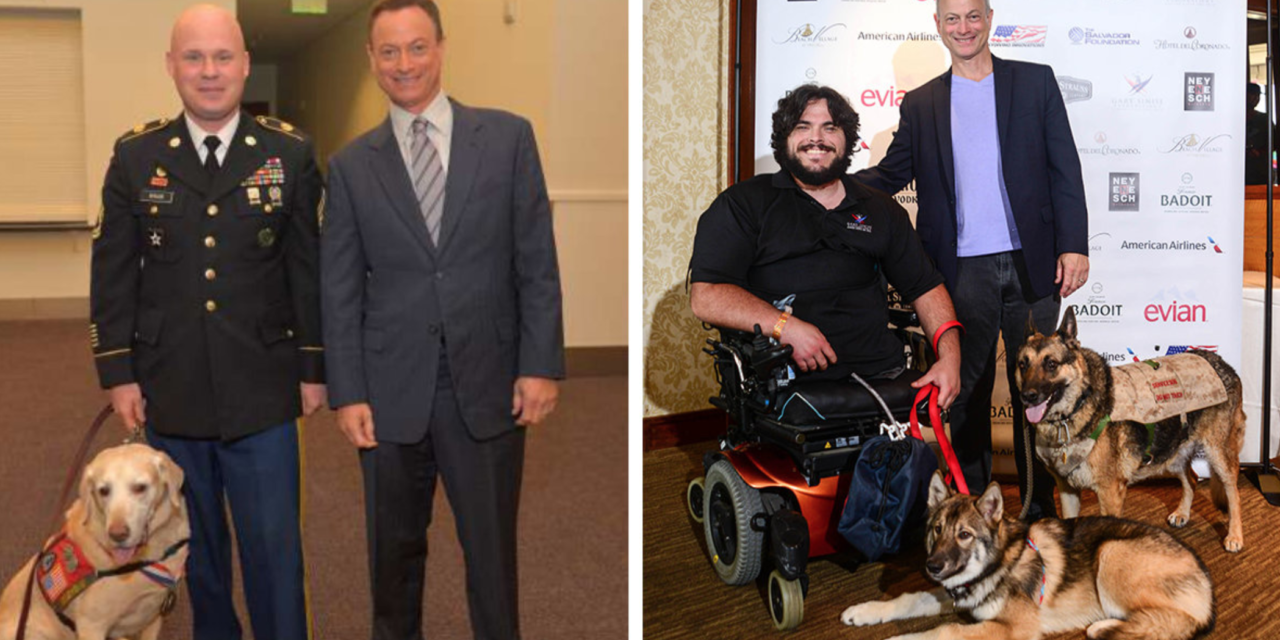 Gary Sinise Takes Initiative To Bring Veteran Dogs To The Forefront On Veteran’s Day