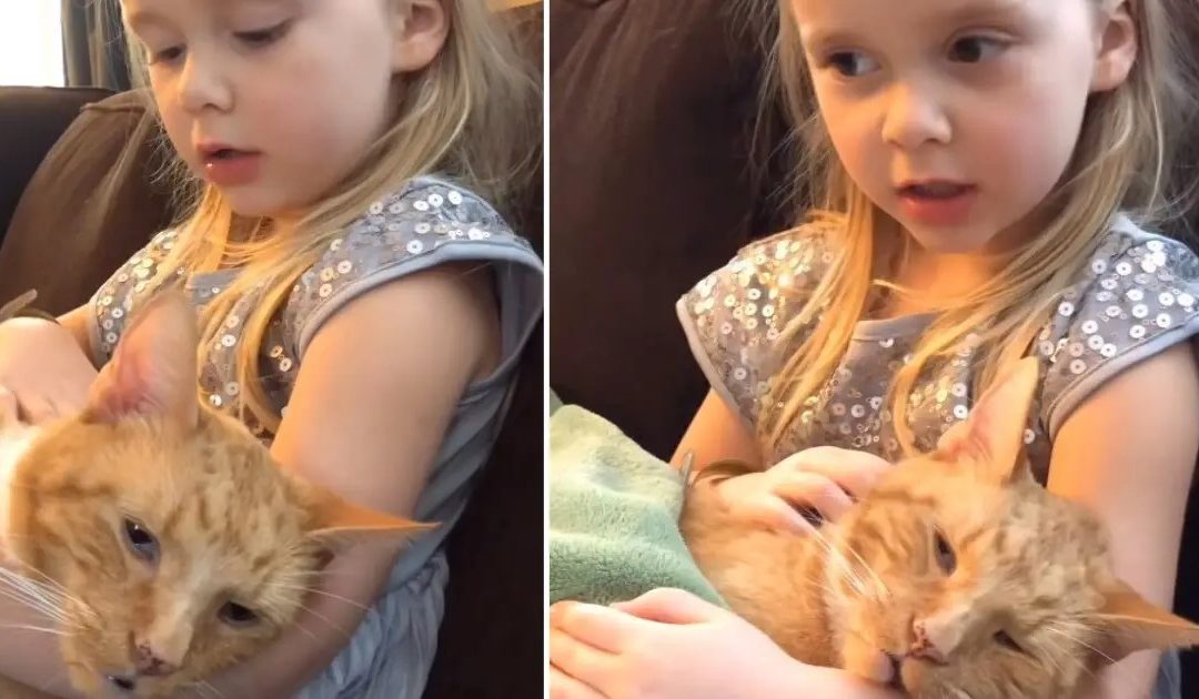 Little Girl Sings Heartbreaking Goodbye Song To Her Cat As He Passes Away