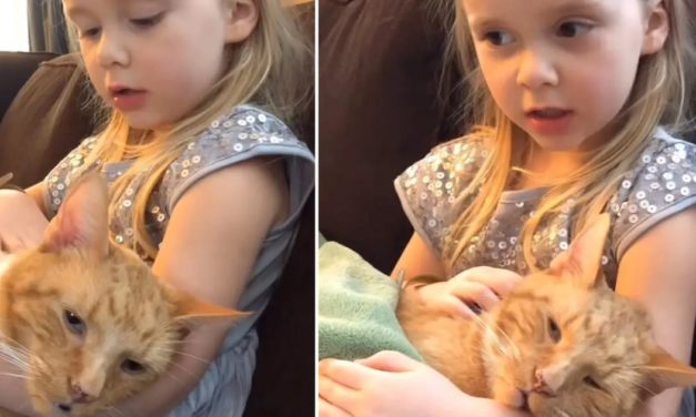 Little Girl Sings Heartbreaking Goodbye Song To Her Cat As He Passes Away
