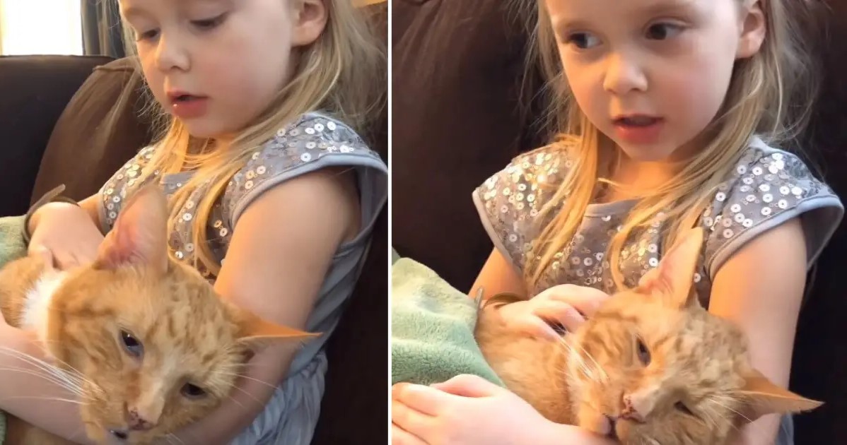 Little Girl Sings Heartbreaking Goodbye Song To Her Cat As He Passes Away