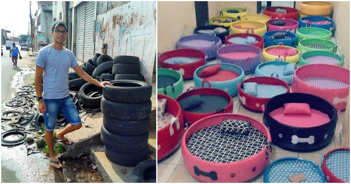 This Man Turns Thousands Of Old Discarded Tires Into Cozy Beds For Stray Dogs And Kittens