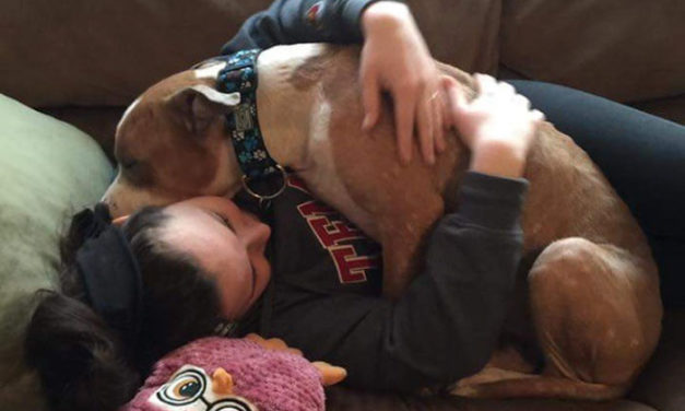 Adopted Pit Bull Can’t Stop Hugging His Human