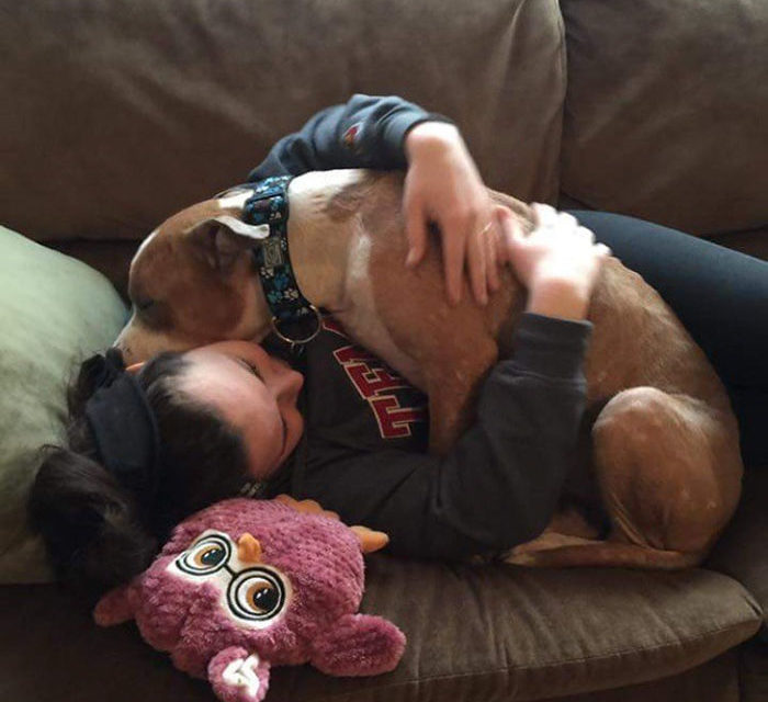 Adopted Pit Bull Can’t Stop Hugging His Human
