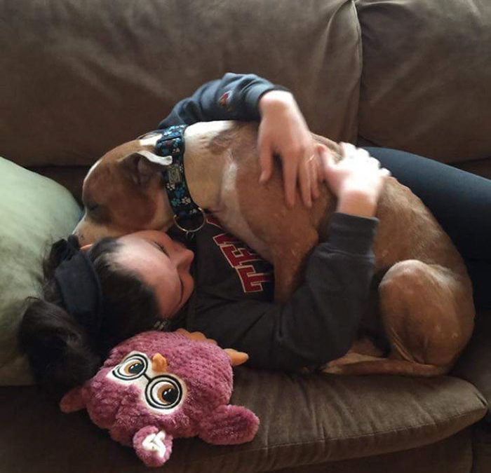 Adopted Pit Bull Can’t Stop Hugging His Human