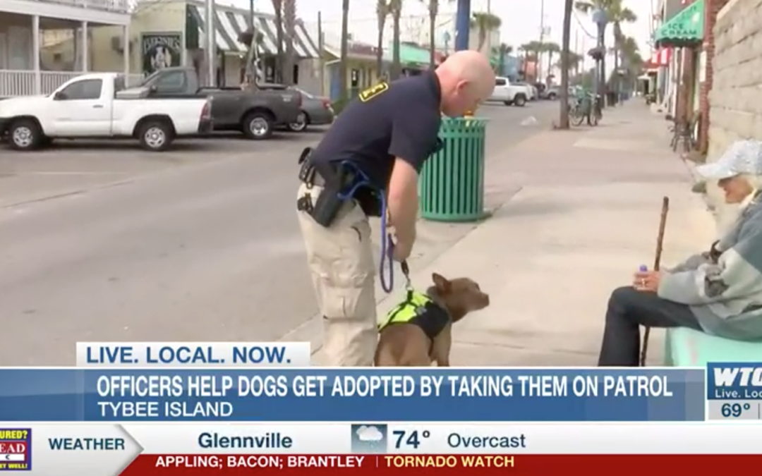 Police Officers Take Dogs On Patrols To Get Them Adopted