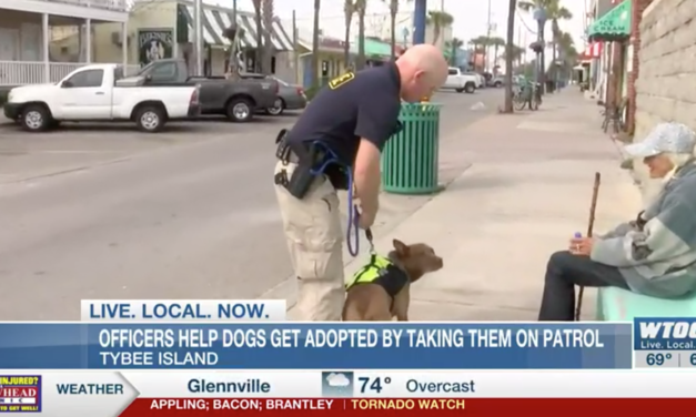 Police Officers Take Dogs On Patrols To Get Them Adopted