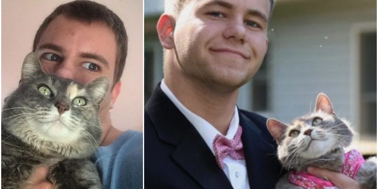Teen Couldn’t Get A Date For The Prom, So He Took His Cat Instead
