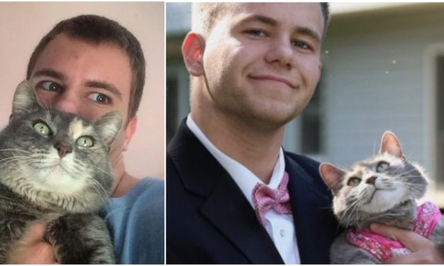 Teen Couldn’t Get A Date For The Prom, So He Took His Cat Instead