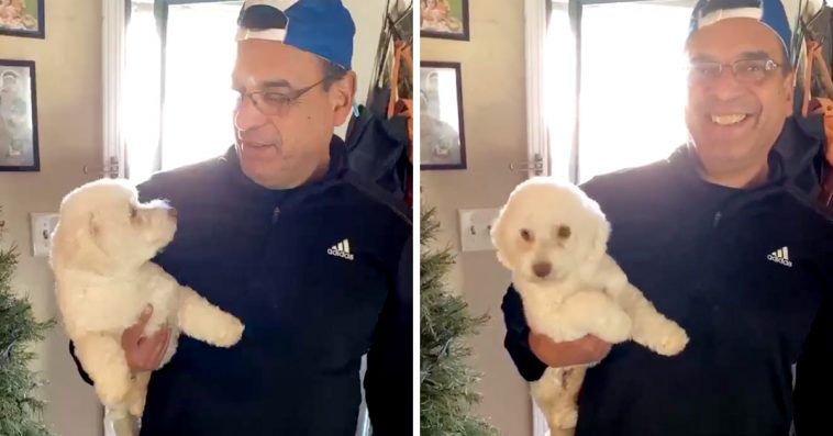 Husband Brings Dog To The Groomer To Help Wife, Comes Home With The Wrong Dog