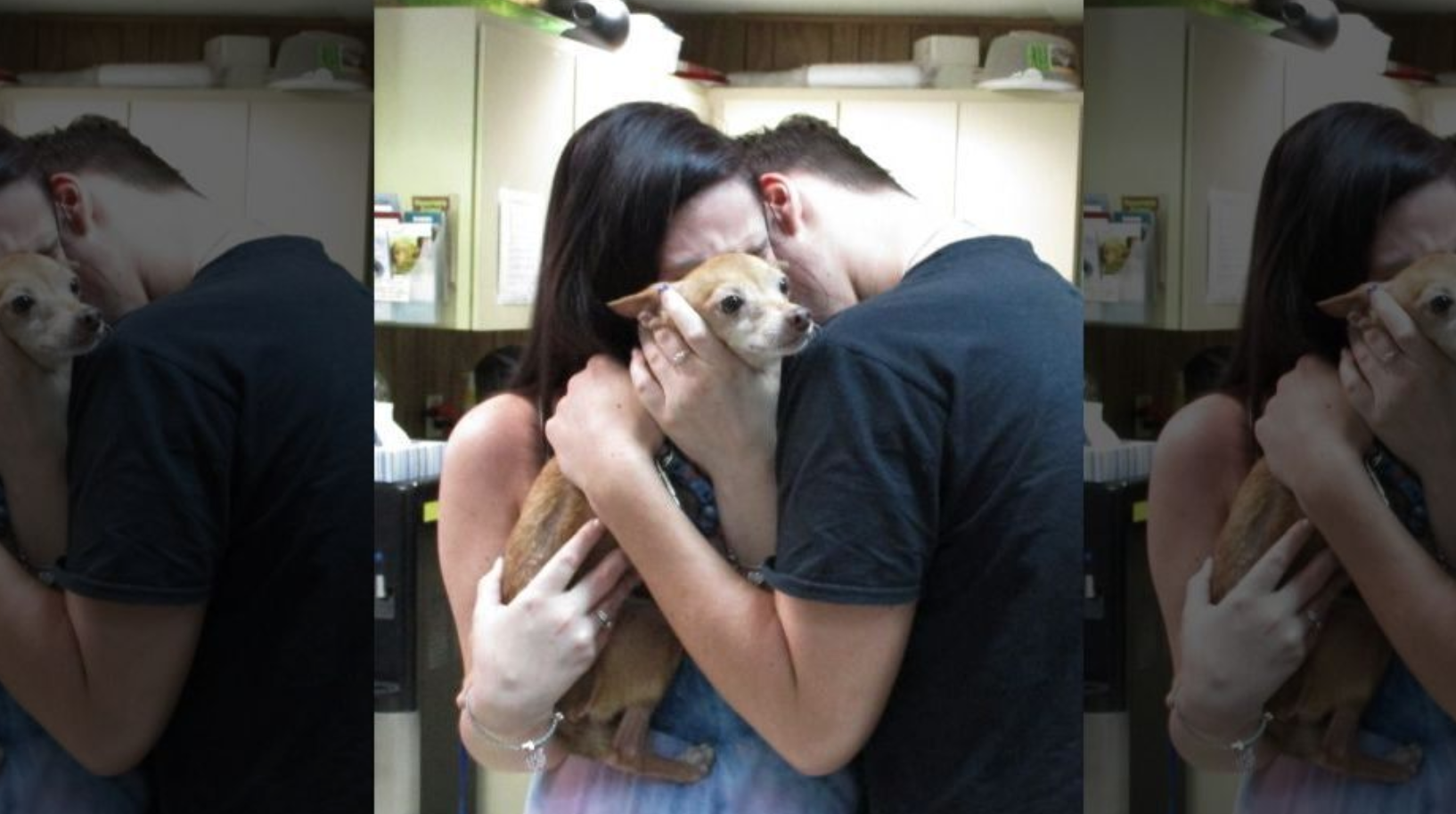 Reunion Between A Dog That’s Been Lost For 6 Years With His Owners