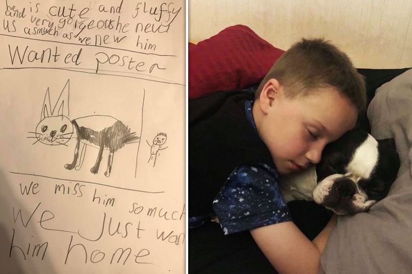 Seven-Year-Old Kid Draws ‘Wanted’ Poster For His Stolen Dog
