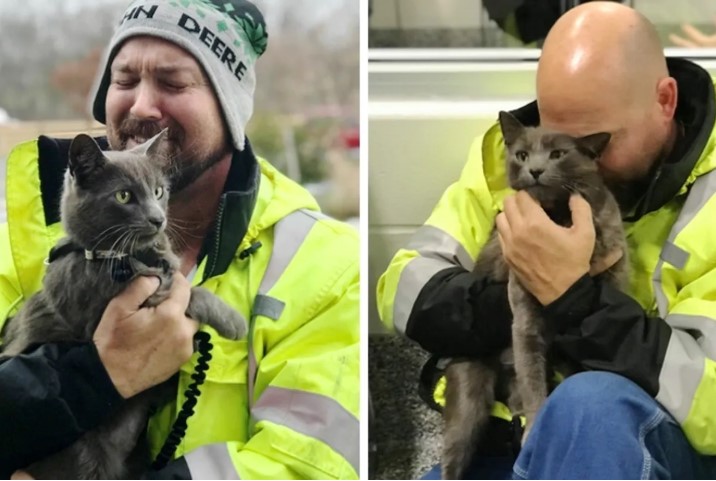 Truck Driver Gets His Miracle Wish Fullfilled After Months Of Searching For His Lost Cat