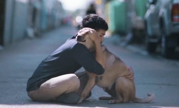 Footage Of Boy Giving First Hugs To Stray Dogs In Thailand Will Warm Your Heart