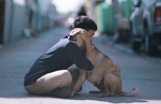 Footage Of Boy Giving First Hugs To Stray Dogs In Thailand Will Warm Your Heart