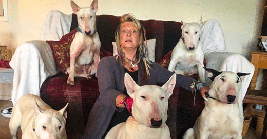Husband Gives Wife Of 25 Years An Ultimatum: Him Or Her Rescue Dogs
