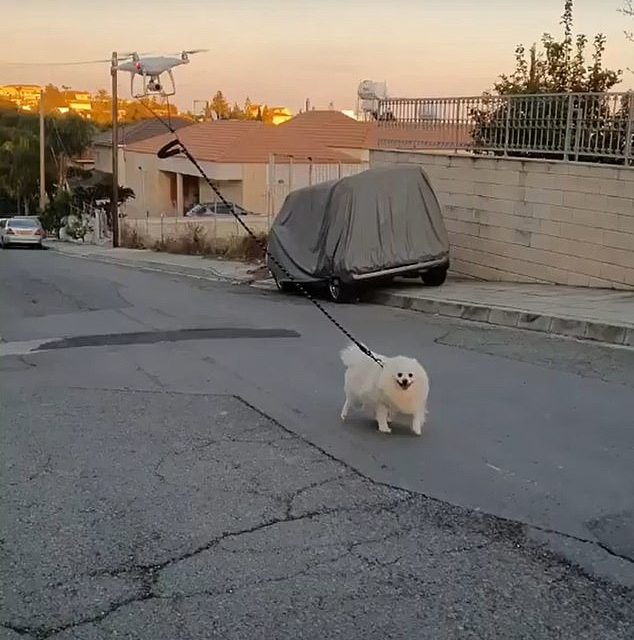 Amazing Footage Shows a Man Walking His Dog With a Drone During The Coronavirus Shutdown