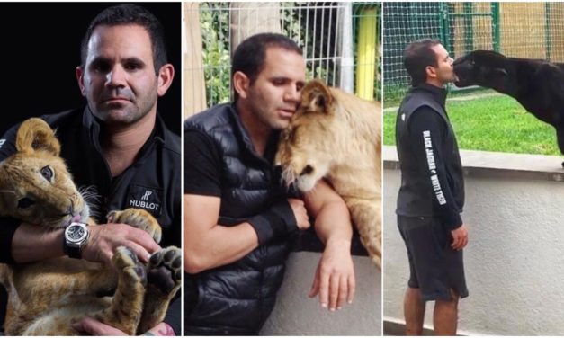 Meet Eduardo, The Father & Mother To More Than 300 Wild Cats