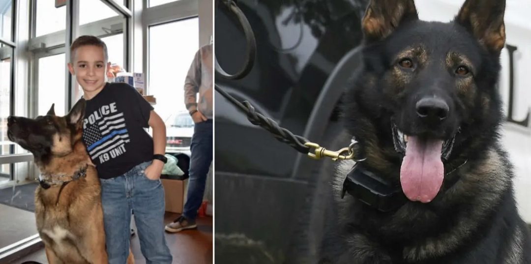 9-Year-Old Boy Raises $80K To Buy Bulletproof Vests For K9 Dogs