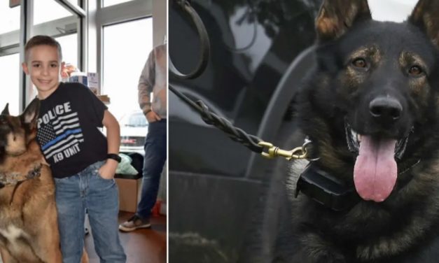9-Year-Old Boy Raises $80K To Buy Bulletproof Vests For K9 Dogs