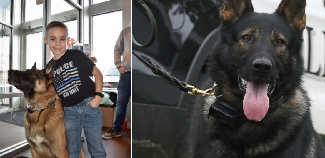 9-Year-Old Boy Raises $80K To Buy Bulletproof Vests For K9 Dogs