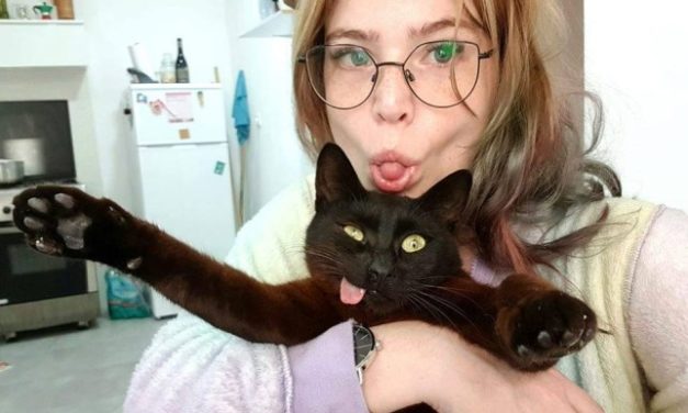 Cute Cat’s Tongue Pokes Out Of His Mouth Because Of A Brutal Attack By Pitbull
