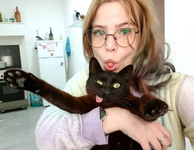 Cute Cat’s Tongue Pokes Out Of His Mouth Because Of A Brutal Attack By Pitbull